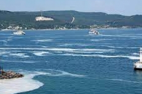 Çanakkale Boğazı'nda müsilaj kabusu - Çevre