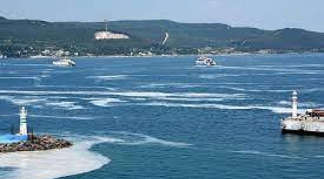 Çanakkale Boğazı'nda müsilaj kabusu - Çevre