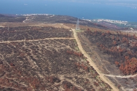 Çanakkale yeniden yeşilleniyor - Çevre