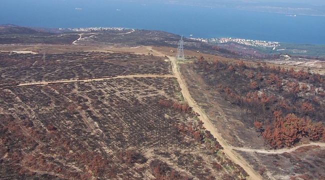 Çanakkale yeniden yeşilleniyor - Çevre