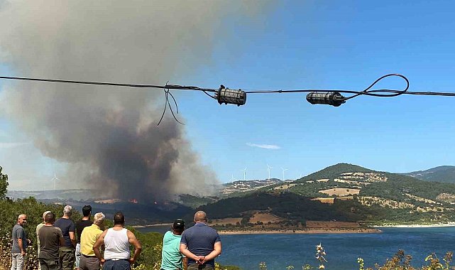 featured