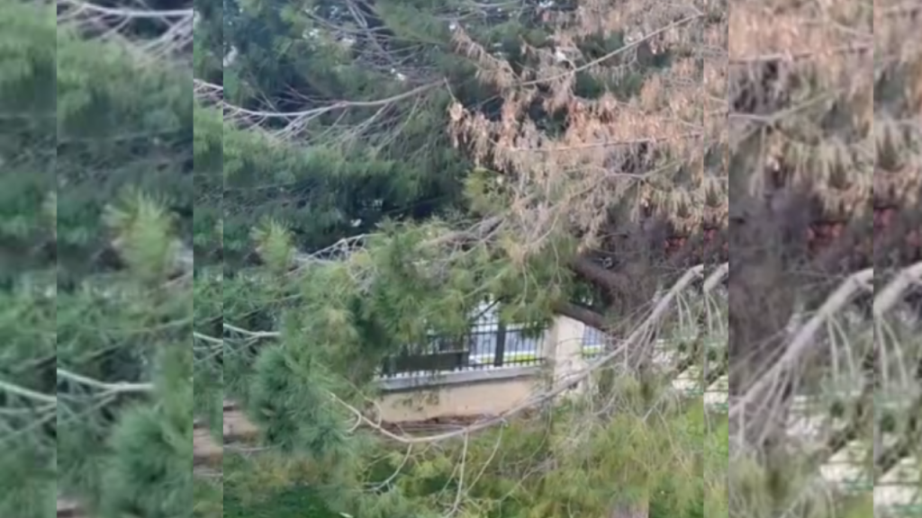 Çanakkale kent merkezine yılın ilk karı yağdı