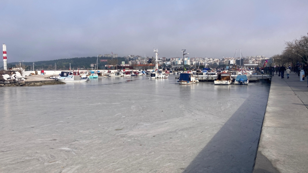 Çanakkale müsilaj