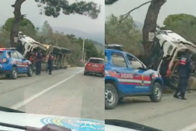 Çanakkale’de Yan yatan tır ağaca girdi