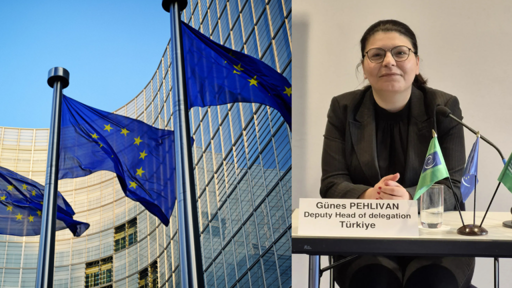 Avrupa Konseyi'nin ilk Türk raportörü Çanakkaleli isim oldu