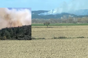 Gelibolu'daki orman yangını 4 saatlik çabanın ardından kontrol altına alındı