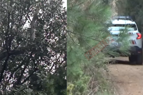 bayramiç yılan 8 metre çanakkale jandarma devriye