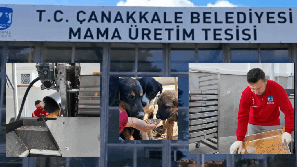 Çanakkale Belediyesi sokak hayvanları için mama üretim tesisi açtı