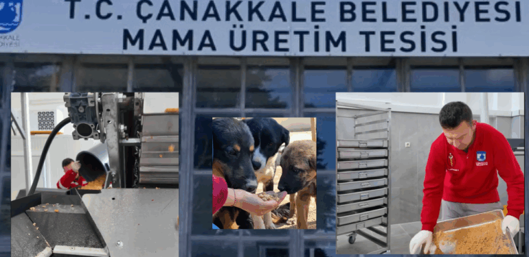 Çanakkale Belediyesi sokak hayvanları için mama üretim tesisi açtı