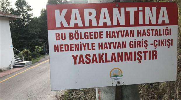 Çanakkale’de hayvan karantinası