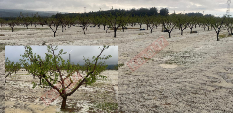 Çanakkale’de meyve bahçelerini dolu vurdu