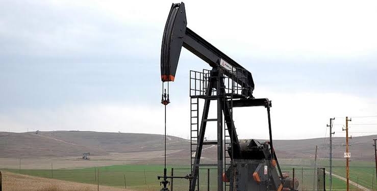 Çanakkale’de 59 bin hektarda petrol arama başvurusu reddedildi