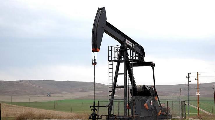 Çanakkale'de 59 bin hektarda petrol arama başvurusu reddedildi