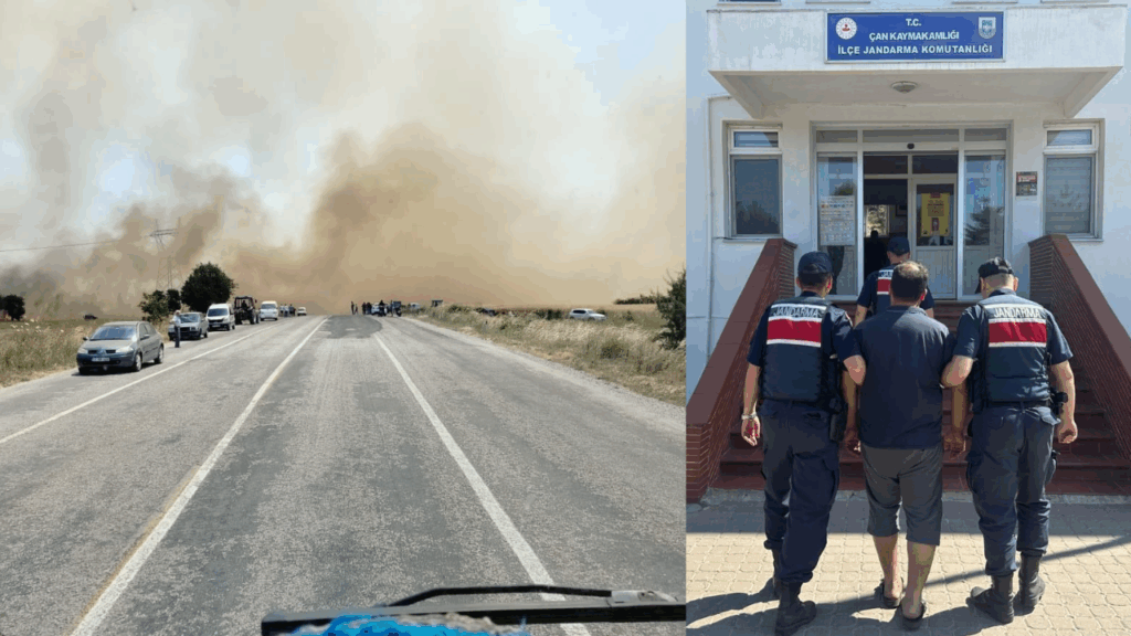 Çan'da yangın çıkmasına sebep olan şahıs gözaltına alındı