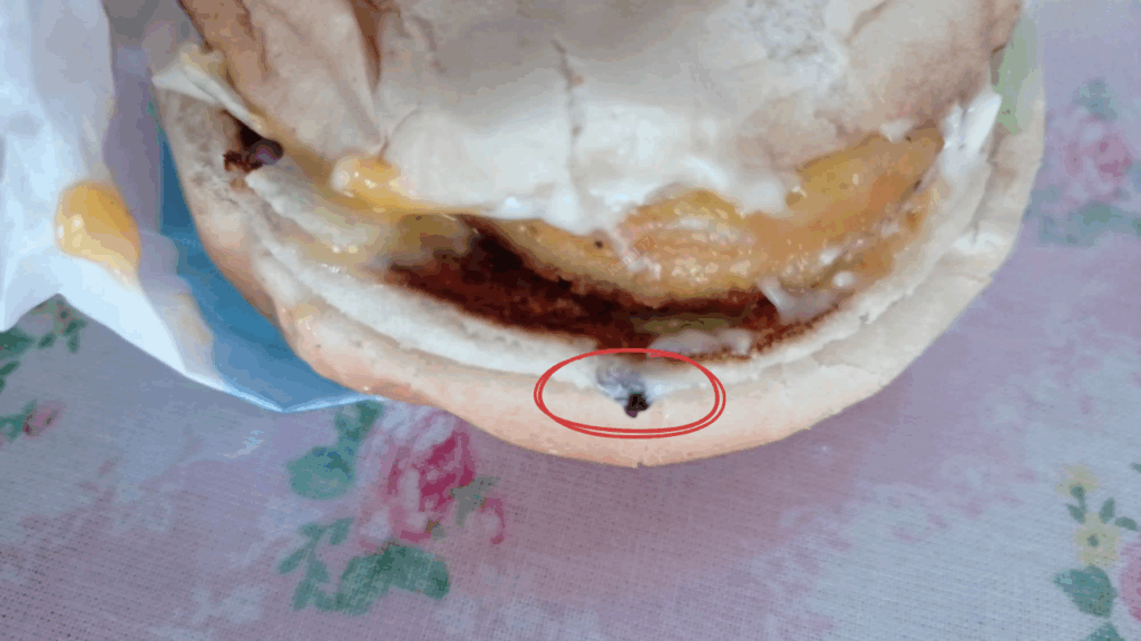 Çanakkale'de sipariş ettiği hamburgerden ölü sinek çıktı