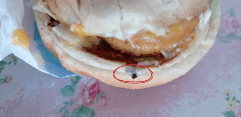 Çanakkale’de sipariş ettiği hamburgerden ölü sinek çıktı