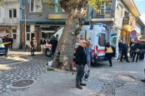 Çanakkale'nin Ezine ilçesinde yaşayan Şerife Akyıldız, iş yerinde eşi Ferdi Akyıldız tarafından av tüfeğiyle vurularak öldürüldü.