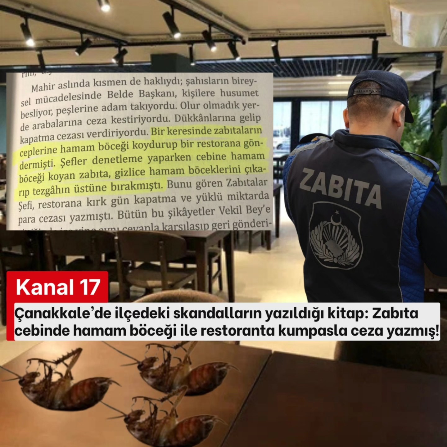 Çanakkale zeytin sızısı
